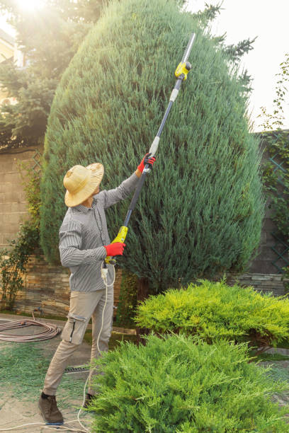 Best Lawn Pest Prevention  in Port Lavaca, TX